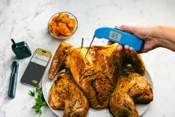 The "Set It and Forget It" Myth is Dead: Why the ThermoWorks RFX is Saving My Thanksgiving Turkey (and My Sanity)